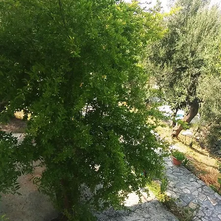 Barbara's Sea View Σπίτι διακοπών Μπενίτσες